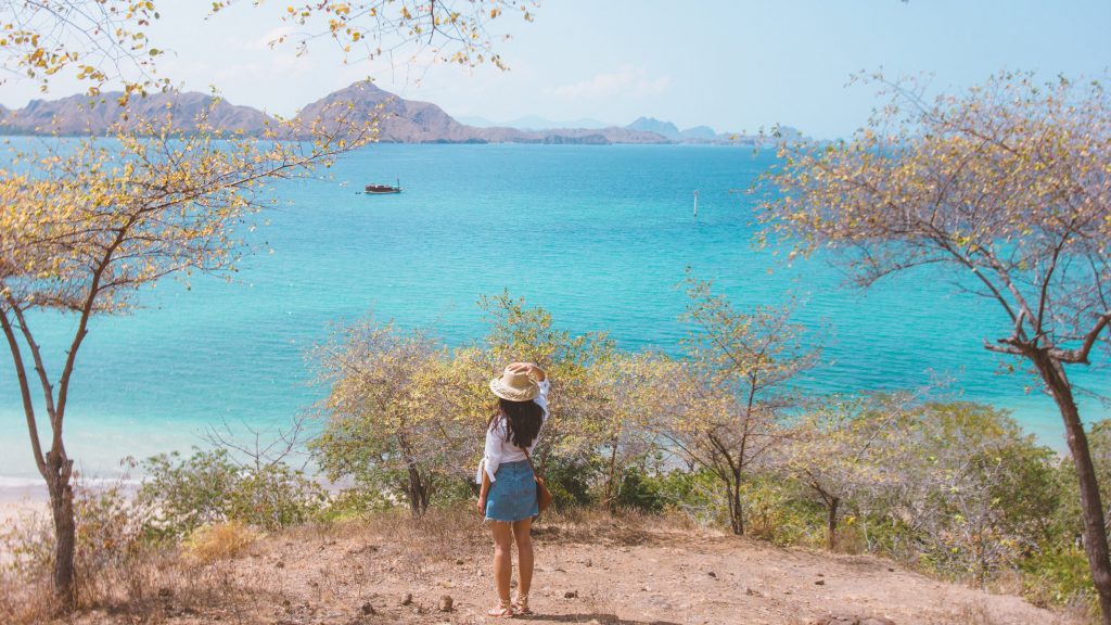 An Expert Tips to Do Before Going to Komodo Island