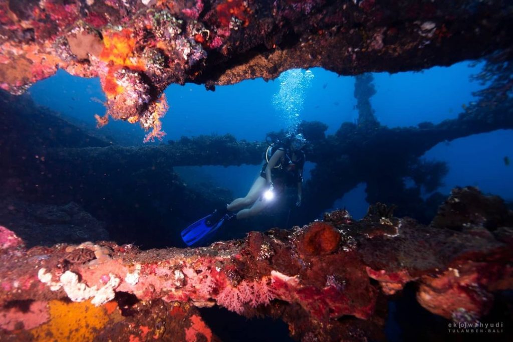 The Spectacular Three Wreck Diving in Bali