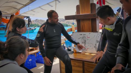 How to choose trustable and responsible scuba diving Komodo operator?