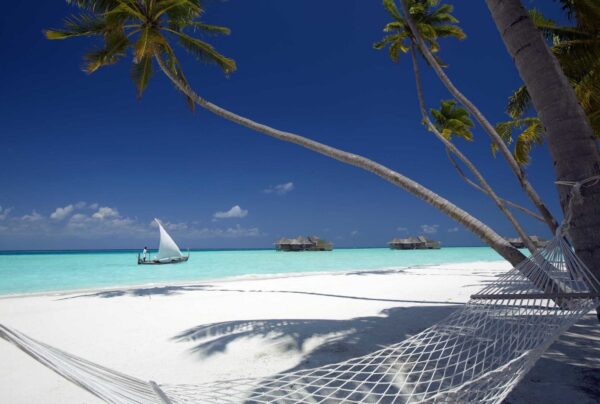 Extreme Napping: Exploring the World’s Most Scenic Nap Spots