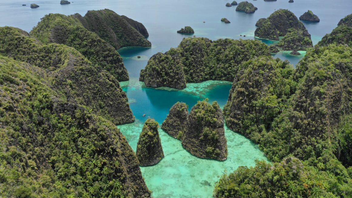lembeh strait vs raja ampat