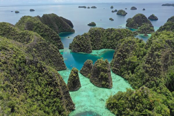 Lembeh Strait vs Raja Ampat: Which Indonesian Diving Paradise Should You Choose?