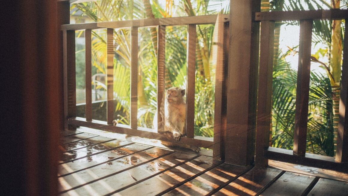 rent a Bali villa