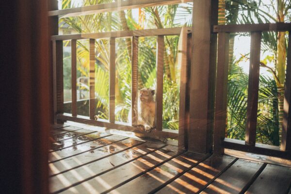 How to Rent a Bali Villa with Crypto and Leave the Banks Behind